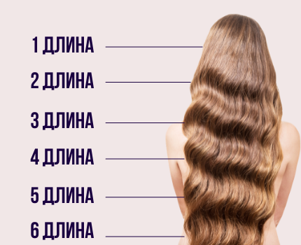 Plarmia SPA  - Программа восстановления поврежденных волос "Счастье для волос"
