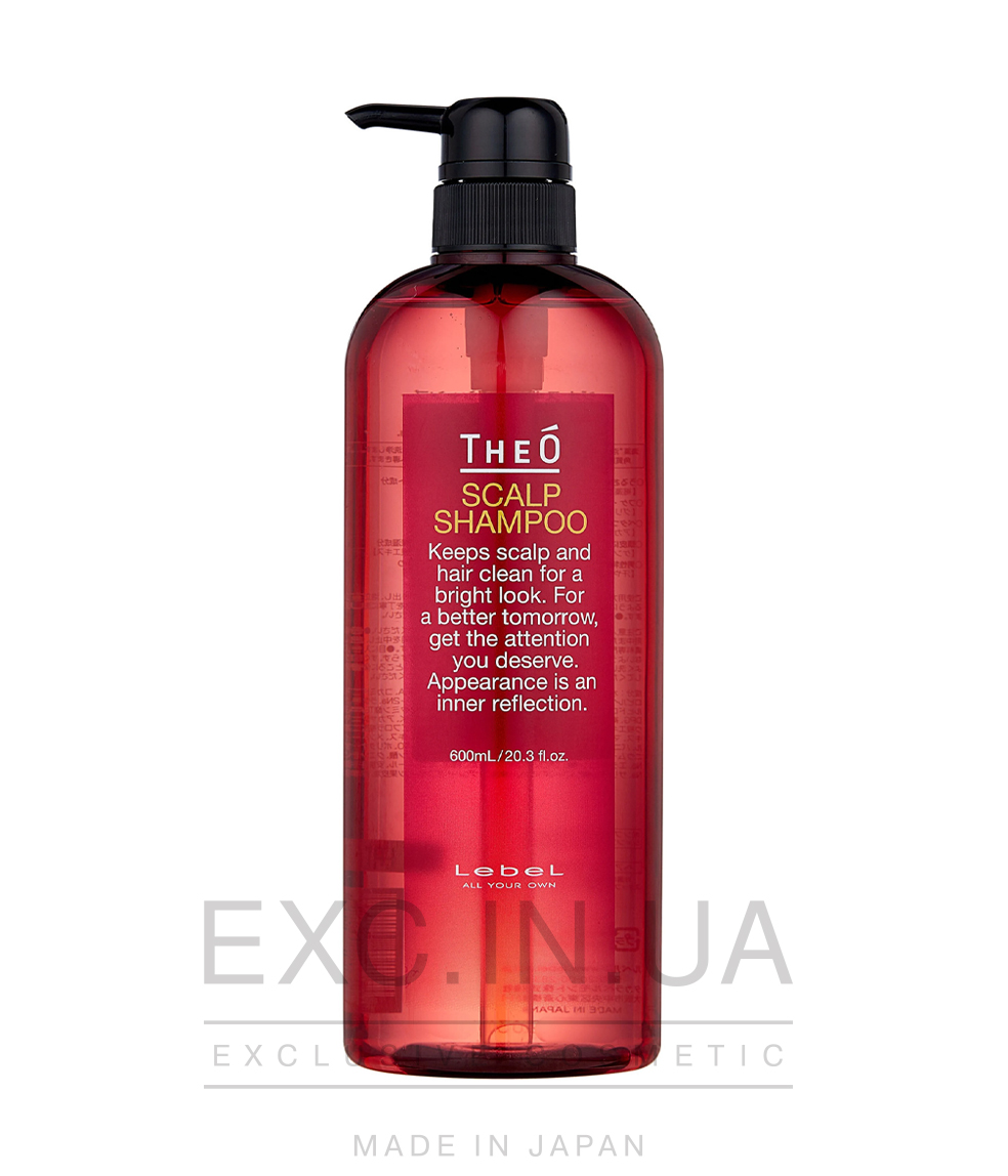Lebel THEO Scalp Shampoo - Многофункциональный шампунь для мужчин