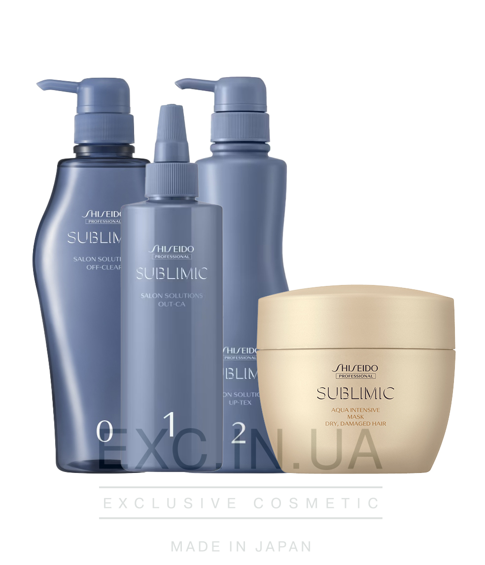 Shiseido Sublimic Hair Detox Program for Dry Damaged Hair - SPA-процедура для детокса кожи головы и восстановления сухих, поврежденных волос (25 минут)