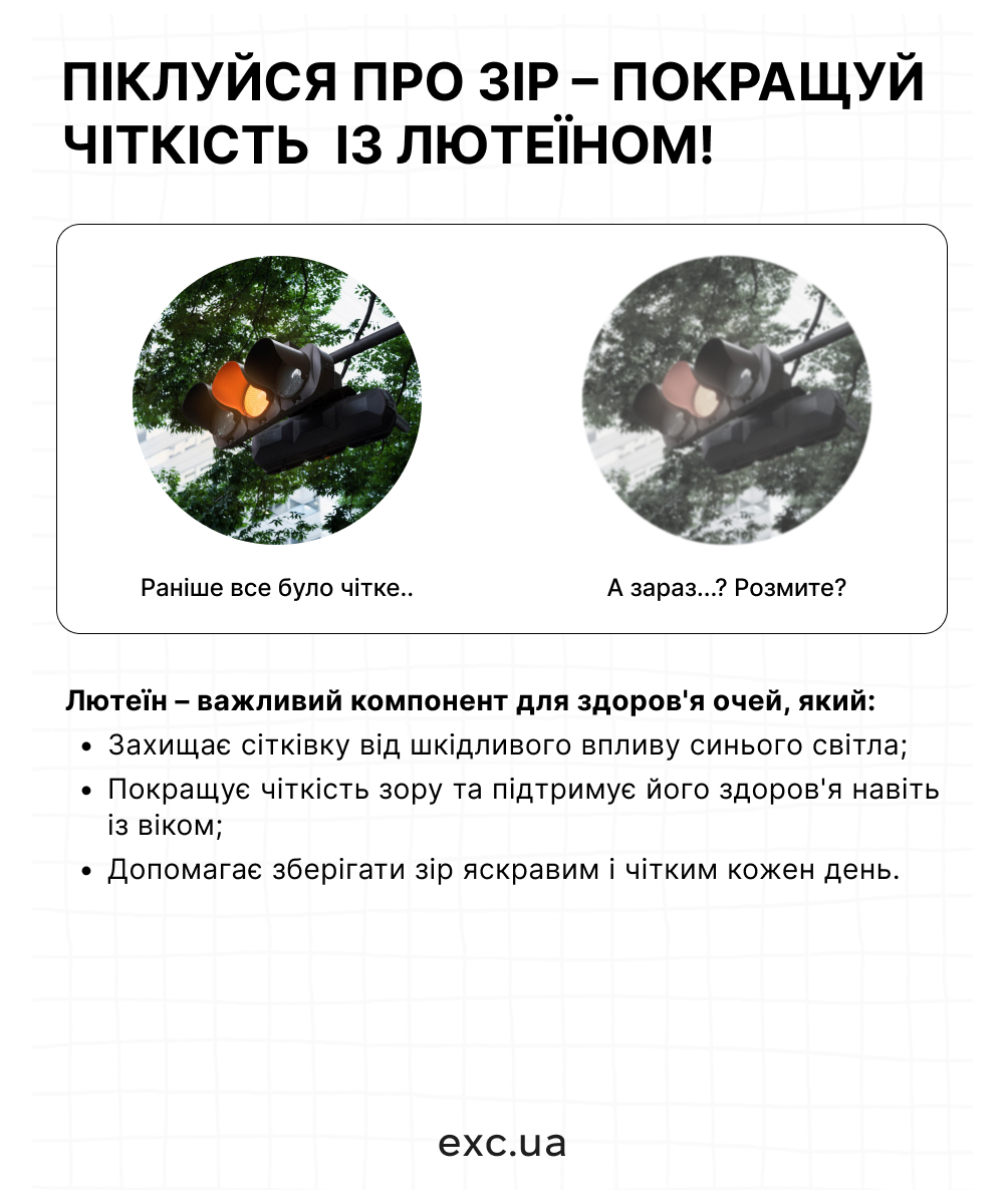 DHC Lutein Light Protection - Комплекс для поддержания здоровья глаз с лютеином