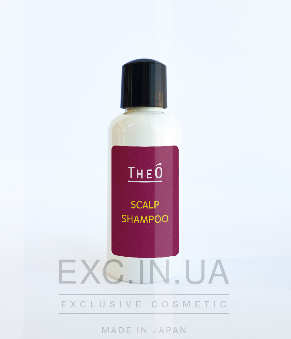 Lebel THEO Scalp Shampoo - Многофункциональный шампунь для мужчин